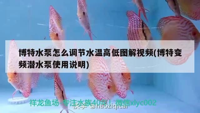 博特水泵怎么調節水溫高低圖解視頻(博特變頻潛水泵使用說明)