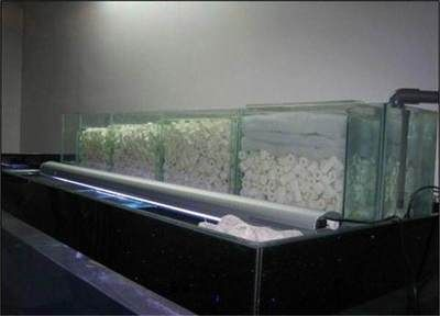 上海魚缸維護服務閔行區地址，上海閔行區魚缸維護服務地址及魚缸維修電話（上海魚缸維修電話）