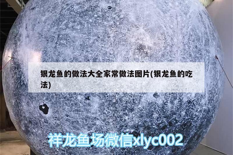 銀龍魚的做法大全家常做法圖片(銀龍魚的吃法)