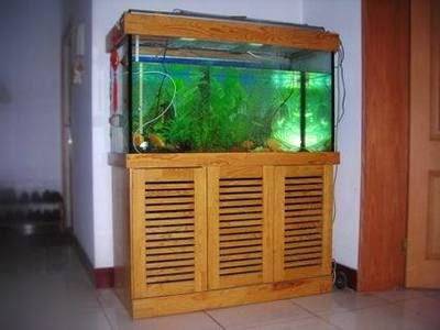 搬家公司能搬魚缸嗎多少錢：搬家公司能否搬魚缸以及價格介紹