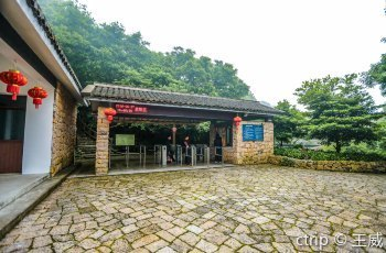 白山紅龍魚價格2688貴嗎？
