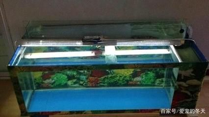 側(cè)過濾的魚缸安裝怎么過濾：如何選擇側(cè)濾魚缸的濾材 側(cè)過濾的魚缸安裝怎么過濾：如何選擇側(cè)濾魚缸的濾材 魚缸百科 第4張