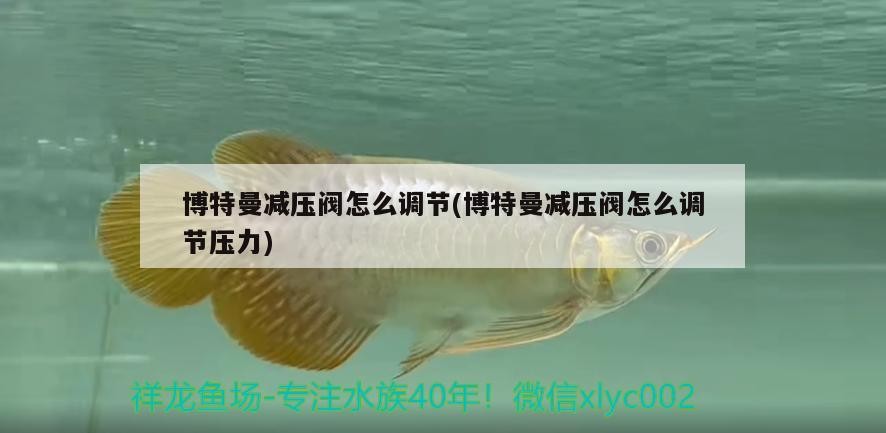 博特曼減壓閥怎么調節(博特曼減壓閥怎么調節壓力)