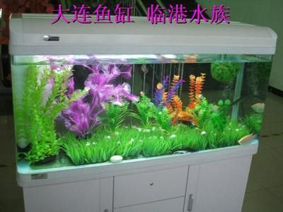 玻璃魚(yú)缸安裝視頻:玻璃魚(yú)缸安裝步驟詳解 魚(yú)缸百科 第3張 玻璃魚(yú)缸安裝視頻:玻璃魚(yú)缸安裝步驟詳解 玻璃魚(yú)缸安裝視頻:玻璃魚(yú)缸安裝步驟詳解 魚(yú)缸百科 第3張