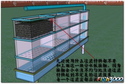 大型魚缸制作設(shè)計圖紙:大型魚缸制作材料 魚缸百科 第3張 大型魚缸制作設(shè)計圖紙:大型魚缸制作材料 大型魚缸制作設(shè)計圖紙:大型魚缸制作材料 魚缸百科 第3張