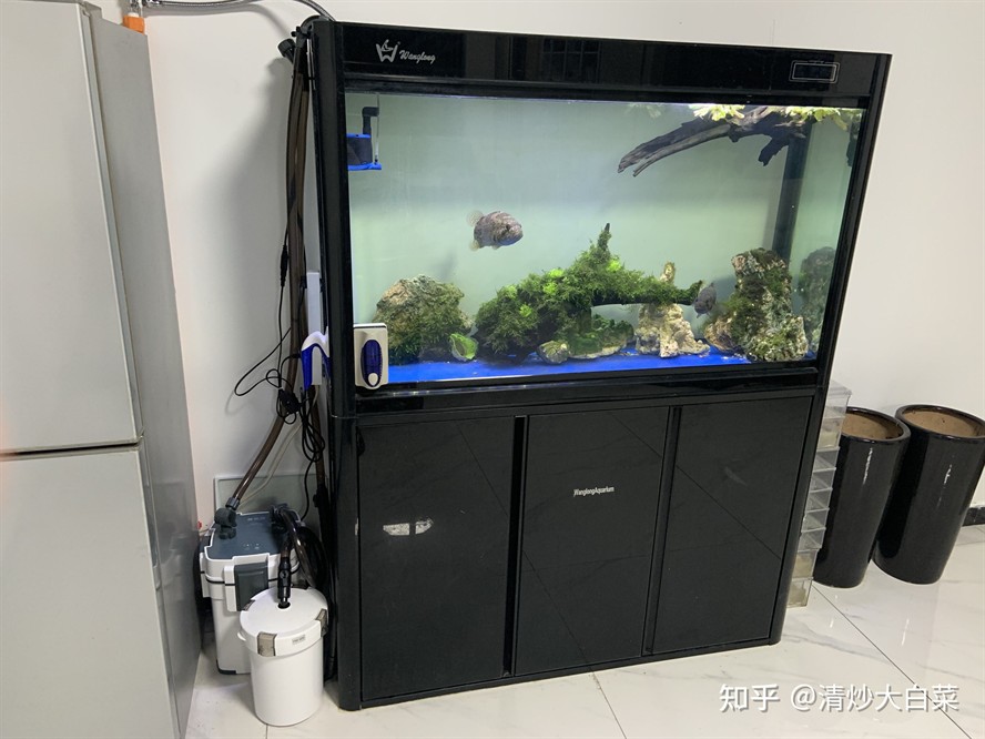 創(chuàng)星前置和森森前置：創(chuàng)星前置和森森前置哪個(gè)好？