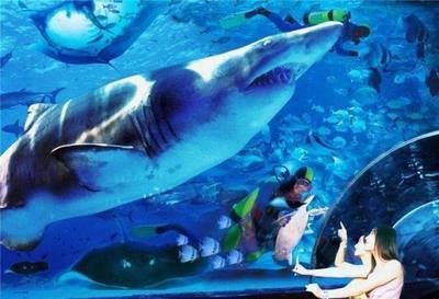 長(zhǎng)沙水族館vs祥龍魚場(chǎng)（長(zhǎng)沙水族館與祥龍魚場(chǎng)之間的差異需要明確兩者的區(qū)別）