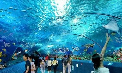 長(zhǎng)沙水族館vs祥龍魚場(chǎng)（長(zhǎng)沙水族館與祥龍魚場(chǎng)之間的差異需要明確兩者的區(qū)別）
