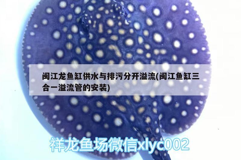 閩江龍魚(yú)缸供水與排污分開(kāi)溢流(閩江魚(yú)缸三合一溢流管的安裝)