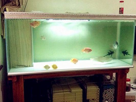 瓷磚制作魚缸架子：使用瓷磚制作魚缸架子需要考慮幾個關鍵因素需要考慮