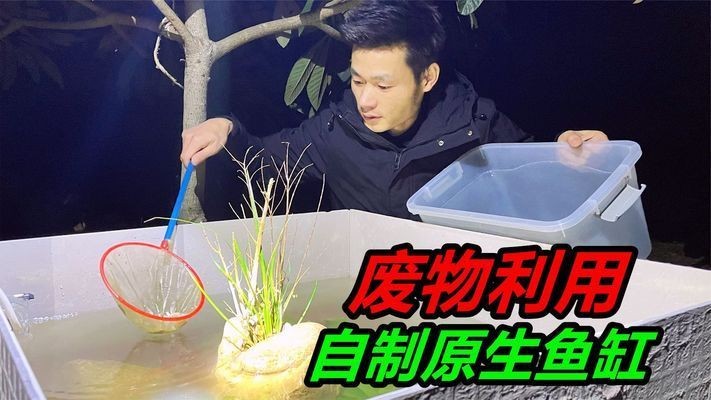 瓷磚制作魚缸架子：使用瓷磚制作魚缸架子需要考慮幾個關鍵因素需要考慮