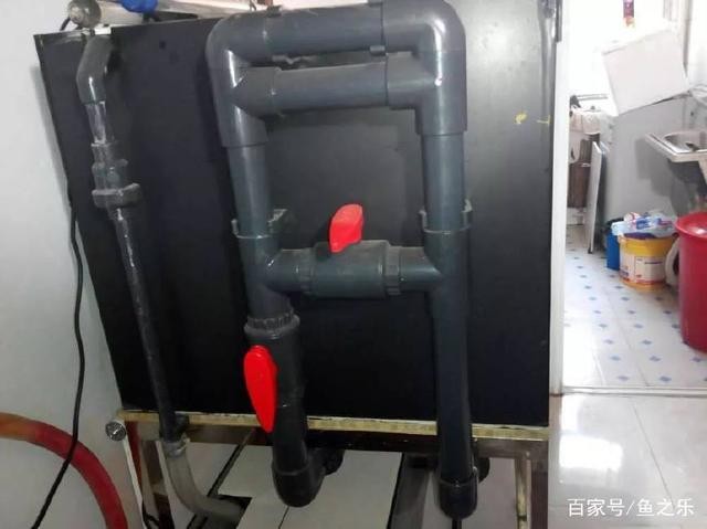 魚缸放慶大霉素方法（魚缸里放慶大霉素怎么使用）