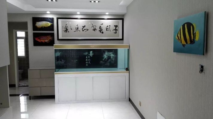 阜新市細河區神仙魚水族館（阜新市細河區神仙魚水族館地址）