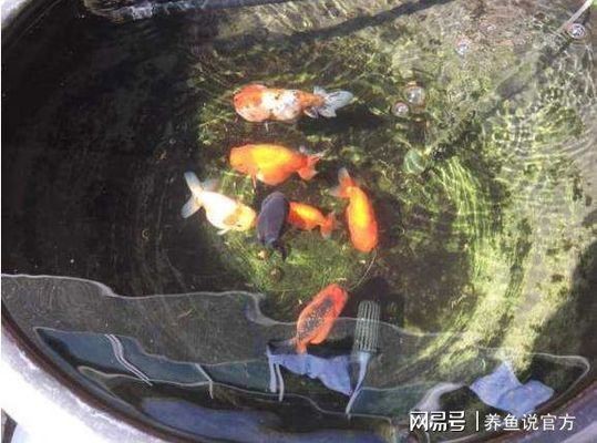 上海市松江區方松街道錸來水族館