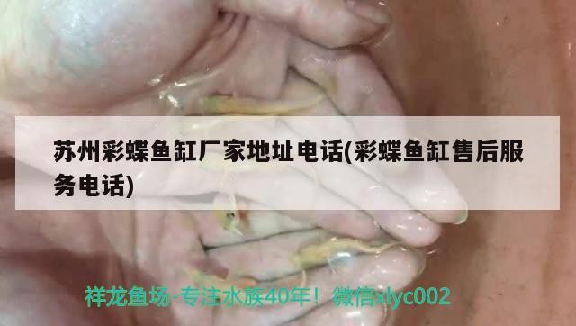 馬來(lái)西亞博特拉大學(xué)博士幾年(馬來(lái)西亞博特拉大學(xué)博士含金量)