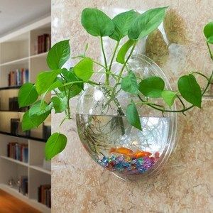 壁掛小魚缸擺放位置：壁掛小魚缸擺放的風水技巧在辦公室擺放的風水技巧