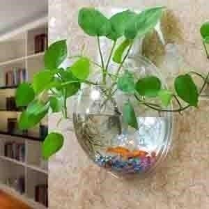 壁掛小魚缸擺放位置：壁掛小魚缸擺放的風水技巧在辦公室擺放的風水技巧