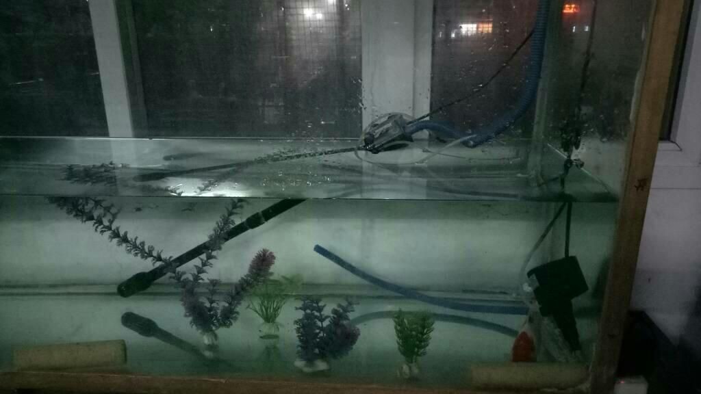 大型魚缸怎么移位的：關于大型魚缸移位的詳細方法