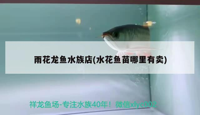 雨花龍魚水族店(水花魚苗哪里有賣)