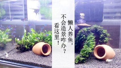 松山區(qū)老唐水族館（松山區(qū)老唐水族館地址）