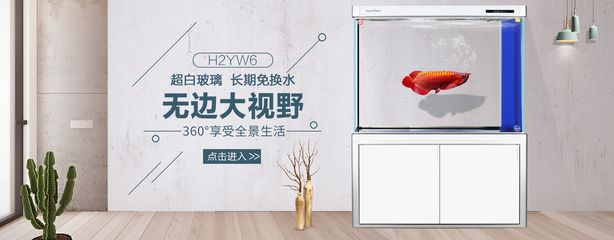 森森寵物生活專營店：關于森森水族專賣店的信息