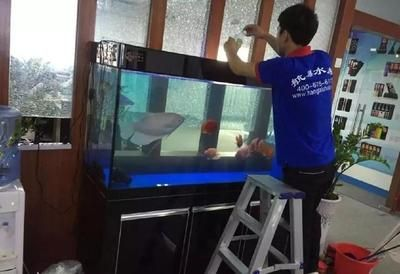 大興魚缸清洗：關(guān)于大興魚缸清洗的相關(guān)信息