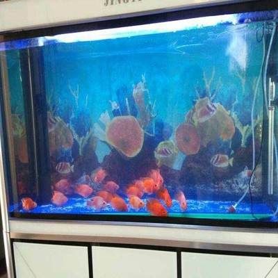 大興魚缸清洗：關(guān)于大興魚缸清洗的相關(guān)信息
