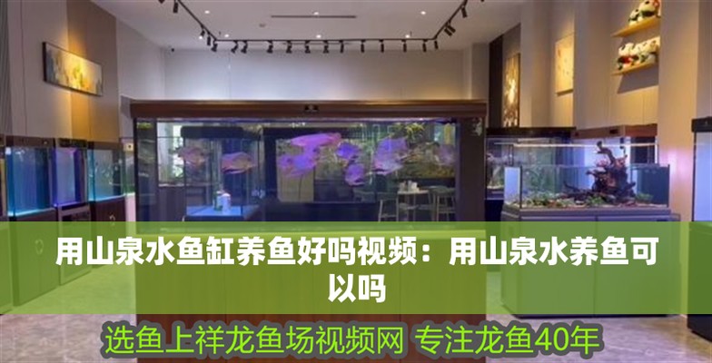 雅安紅龍魚價格2688貴嗎？