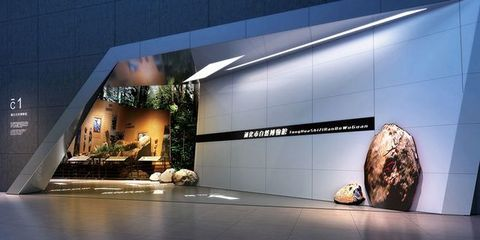 通化水族館vs祥龍魚場（探討通化水族館與祥龍魚場之間的差異，我們需要明確兩者的主要業務和特點）