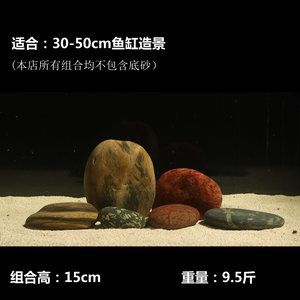 1.5魚缸有多重：1.5米的魚缸有多重 1.5魚缸有多重：1.5米的魚缸有多重 魚缸百科 第3張