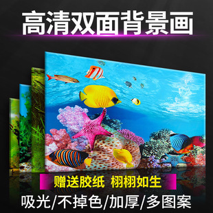 圓弧玻璃魚缸加固視頻