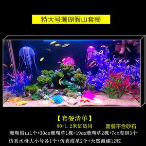 大魚缸能造景嗎視頻：大魚缸的造景技巧