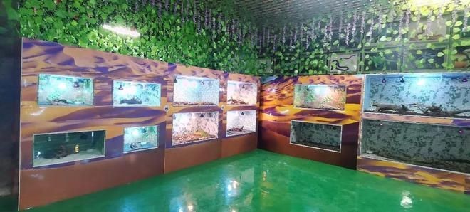 衡水水族館vs祥龍魚場（衡水市有哪些水族館？）