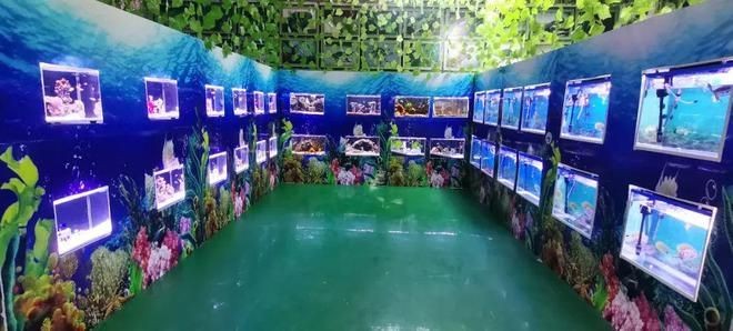 衡水水族館vs祥龍魚場（衡水市有哪些水族館？）