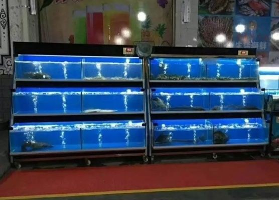 虎門水族文化探秘：虎門地區提供魚缸銷售的實體商店