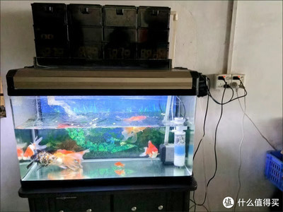 大慶市薩爾圖區鑫金立水族館（大慶鑫金山大酒店）