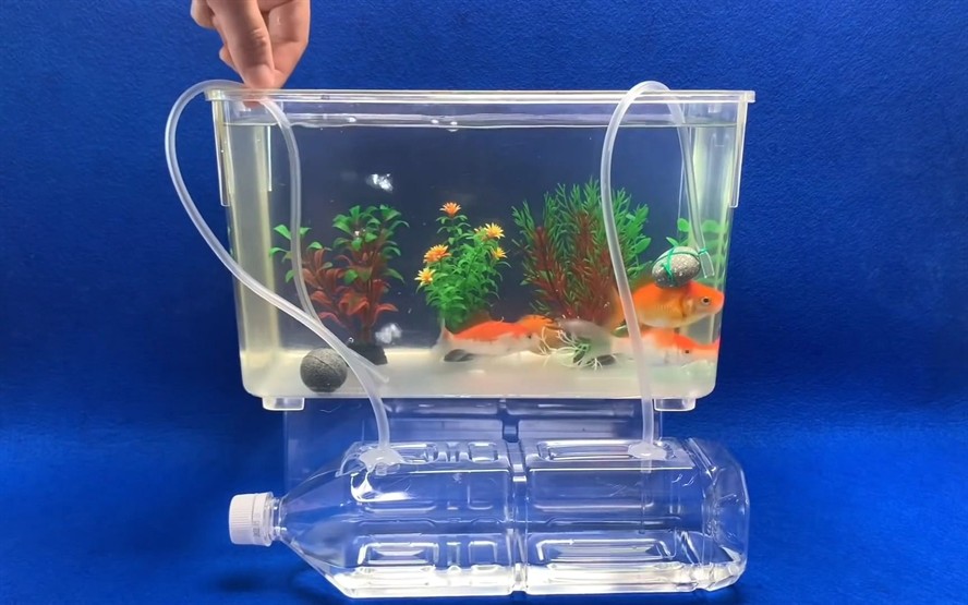 玻璃自己做魚缸用什么膠好：用于粘接玻璃魚缸的膠水有哪些？ 玻璃自己做魚缸用什么膠好：用于粘接玻璃魚缸的膠水有哪些？ 魚缸百科 第1張