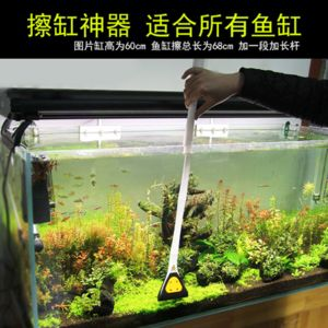 徹底清洗魚缸的小妙招有哪些：清洗魚缸的小妙招