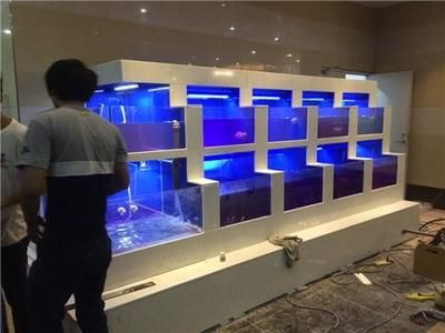 大型魚缸推薦：大型魚缸養護技巧養護技巧養護大型魚缸養護技巧