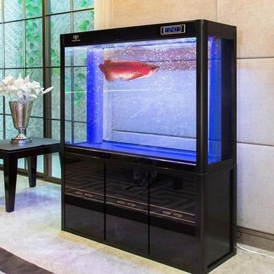 大型魚缸推薦：大型魚缸養護技巧養護技巧養護大型魚缸養護技巧