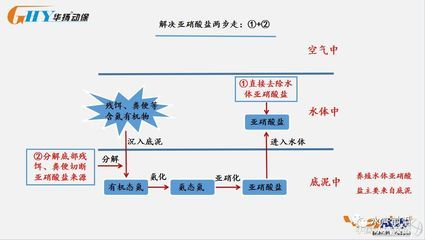 100l水是多大魚缸：100升水的魚缸尺寸是多大？