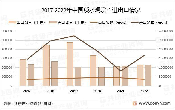 龍魚在20度的水溫里會死嗎？vs祥龍魚場：龍魚低溫下的養護技巧 龍魚在20度的水溫里會死嗎？vs祥龍魚場：龍魚低溫下的養護技巧 vs祥龍魚場 第5張