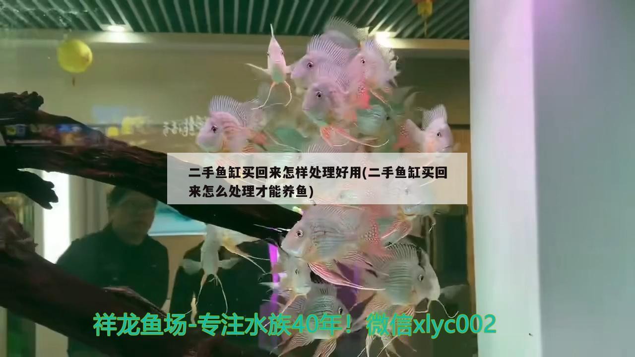 二手魚缸買回來怎樣處理好用(二手魚缸買回來怎么處理才能養魚)