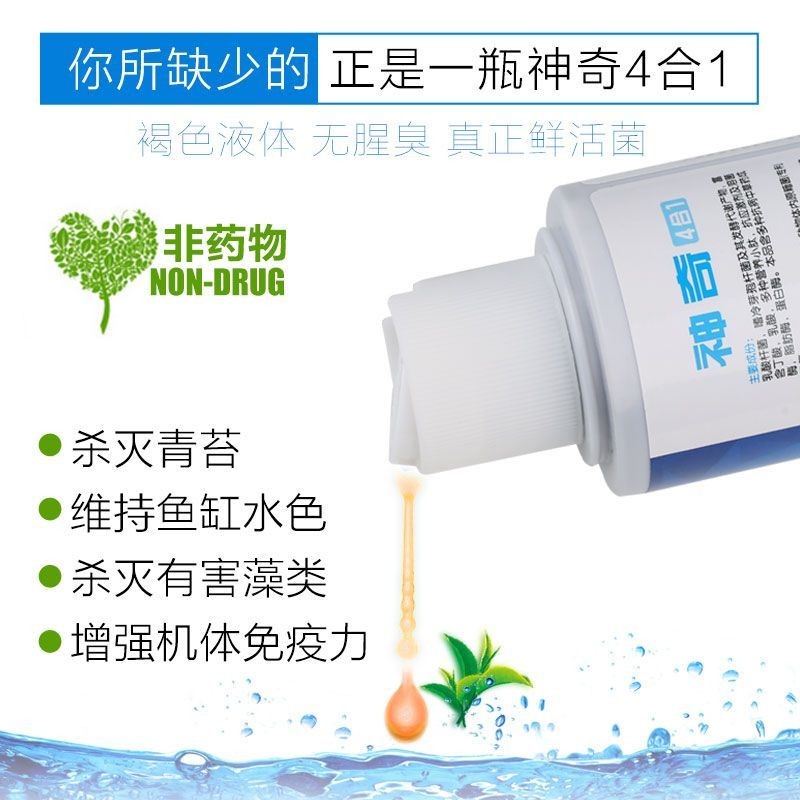森森硝化細(xì)菌顏色