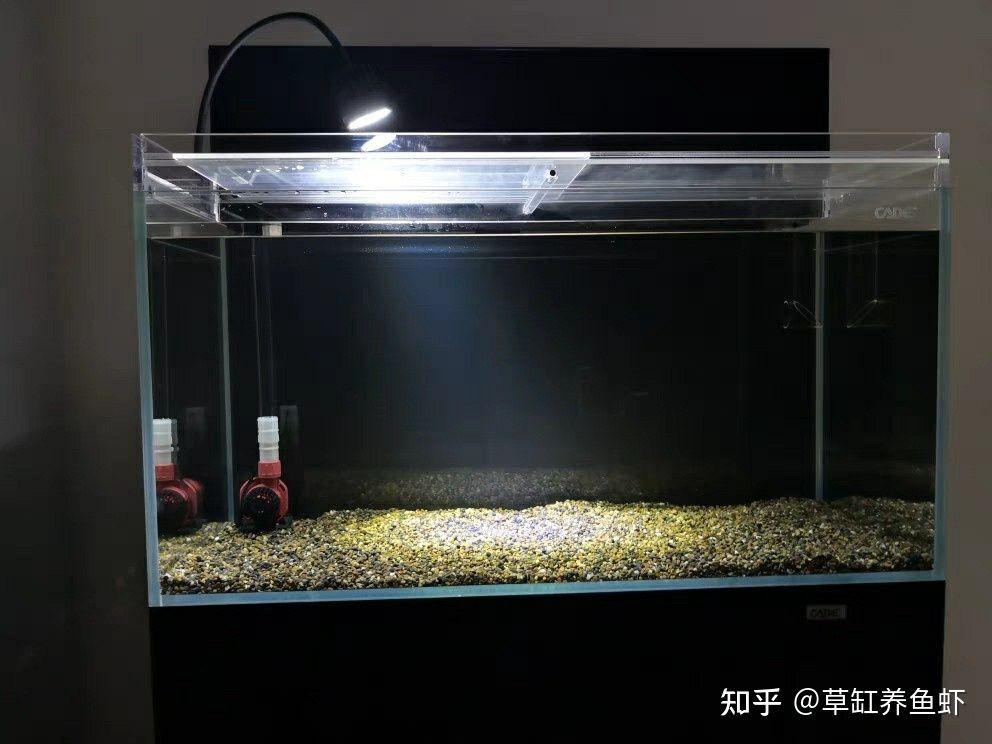 超白魚缸哪個牌子好用：超白魚缸品牌排行榜和用戶評價推薦超白魚缸品牌推薦