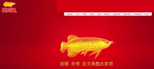 河蚌在魚缸里吃什么