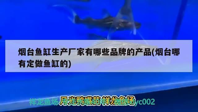煙臺魚缸生產廠家有哪些品牌的產品(煙臺哪有定做魚缸的)