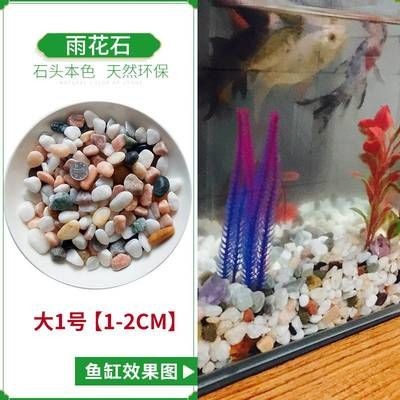 彩色石子放魚缸有毒嗎：彩色石子是否適合放入魚缸