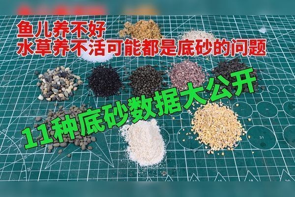 龍魚要求的水質(zhì)是什么意思vs祥龍魚場：如何調(diào)節(jié)龍魚缸水質(zhì)龍魚對ph值的要求