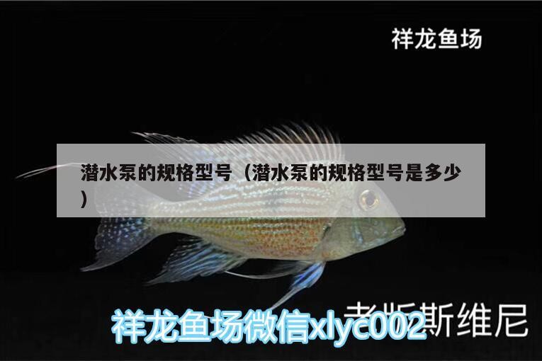 潛水泵的規格型號（潛水泵的規格型號是多少）